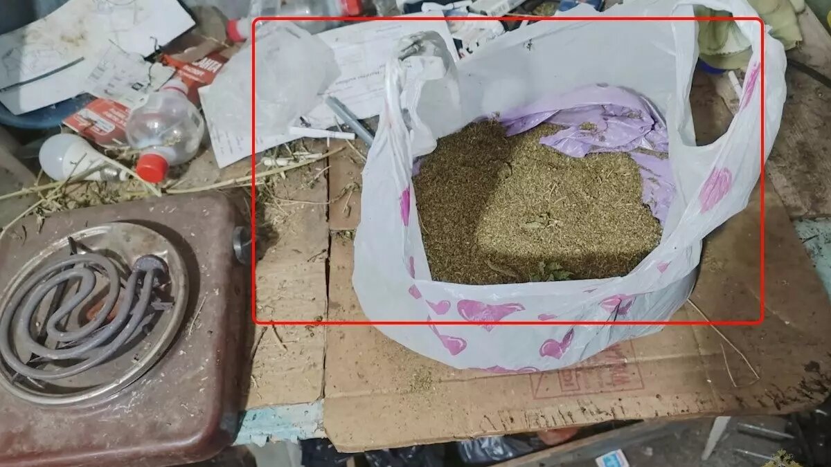     Источник: ГУ МВД по Волгоградской области