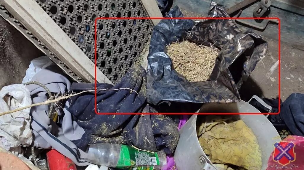     Источник: ГУ МВД по Волгоградской области