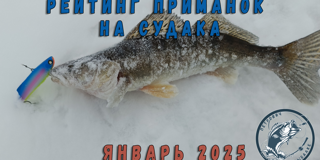 Рейтинг топ 3 приманок на судака от Петровича. Февраль 2025