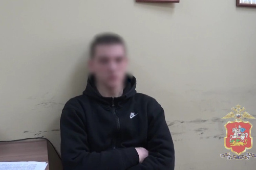    Фото: МВД по Московской области