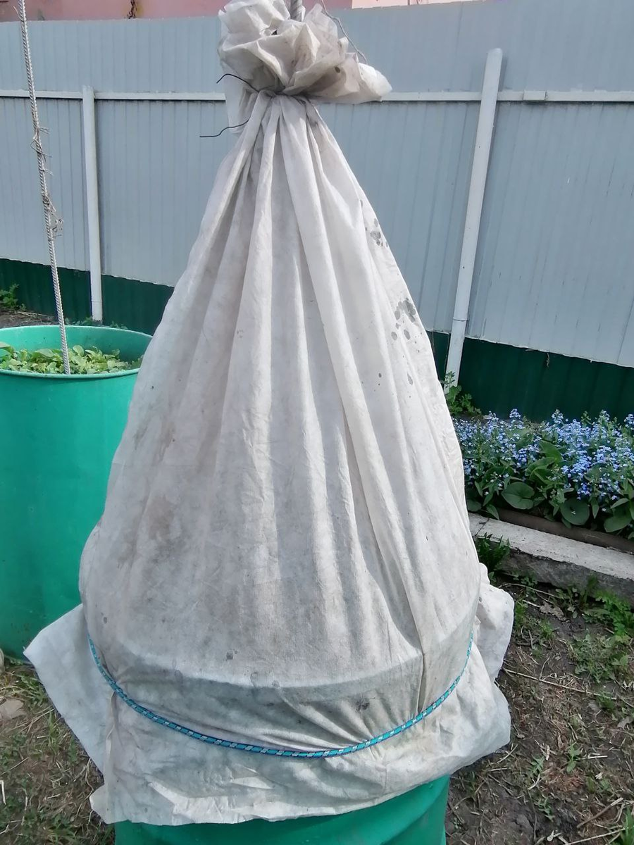 Парник из бочки, фото автора