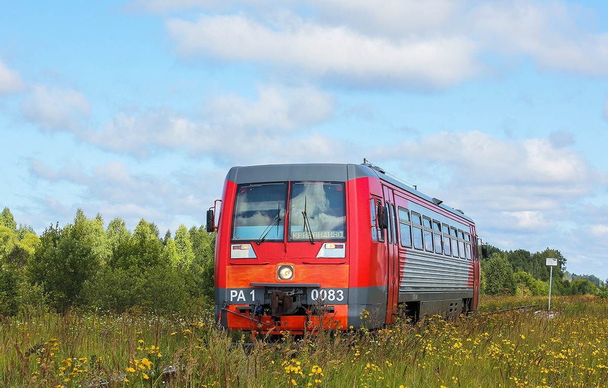 РА1-0083. 2019. Автор Сергей Сидорчук. Паровоз ИС.