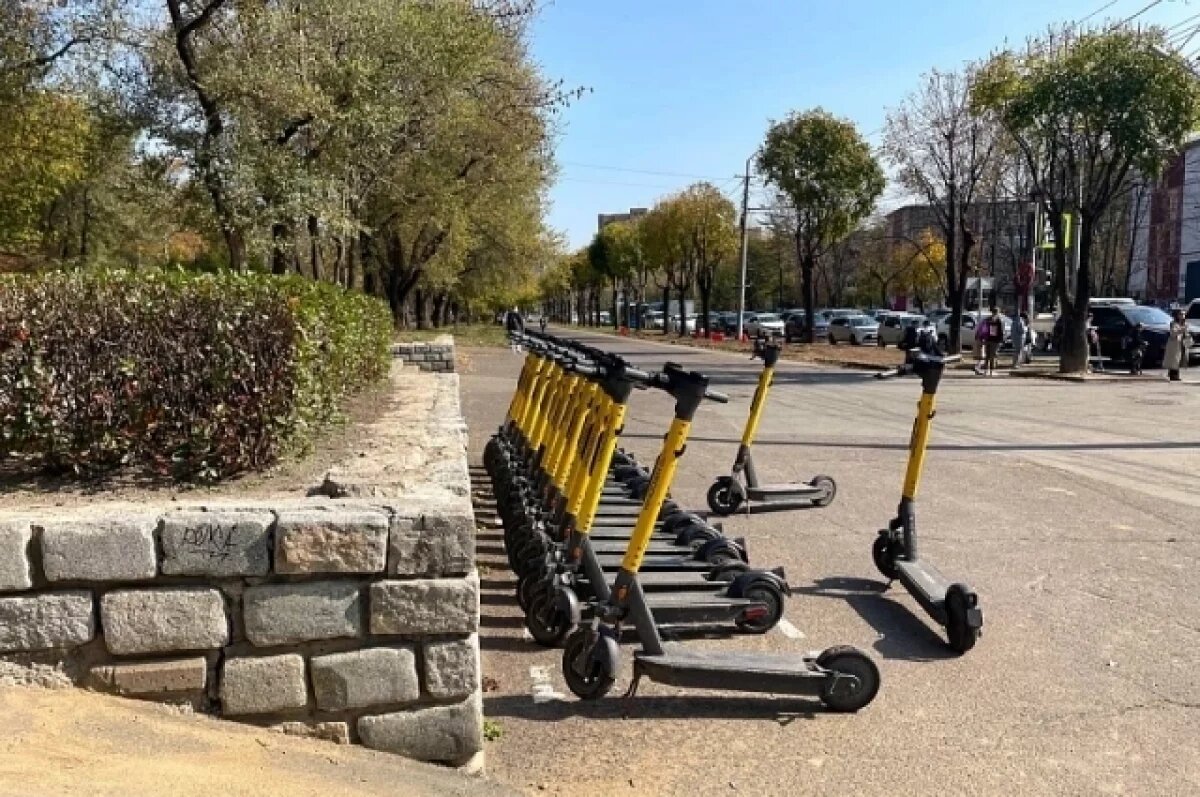    Электросамокаты вернуться на улицы Владивостока в конце марта