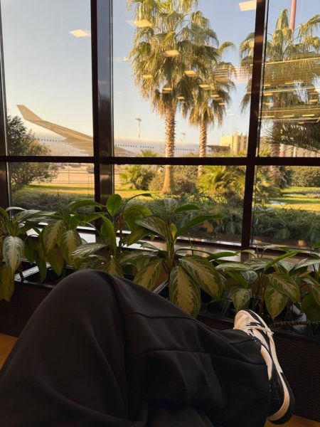    Давид Манукян показал, куда приехала отдыхать, фото: телеграм