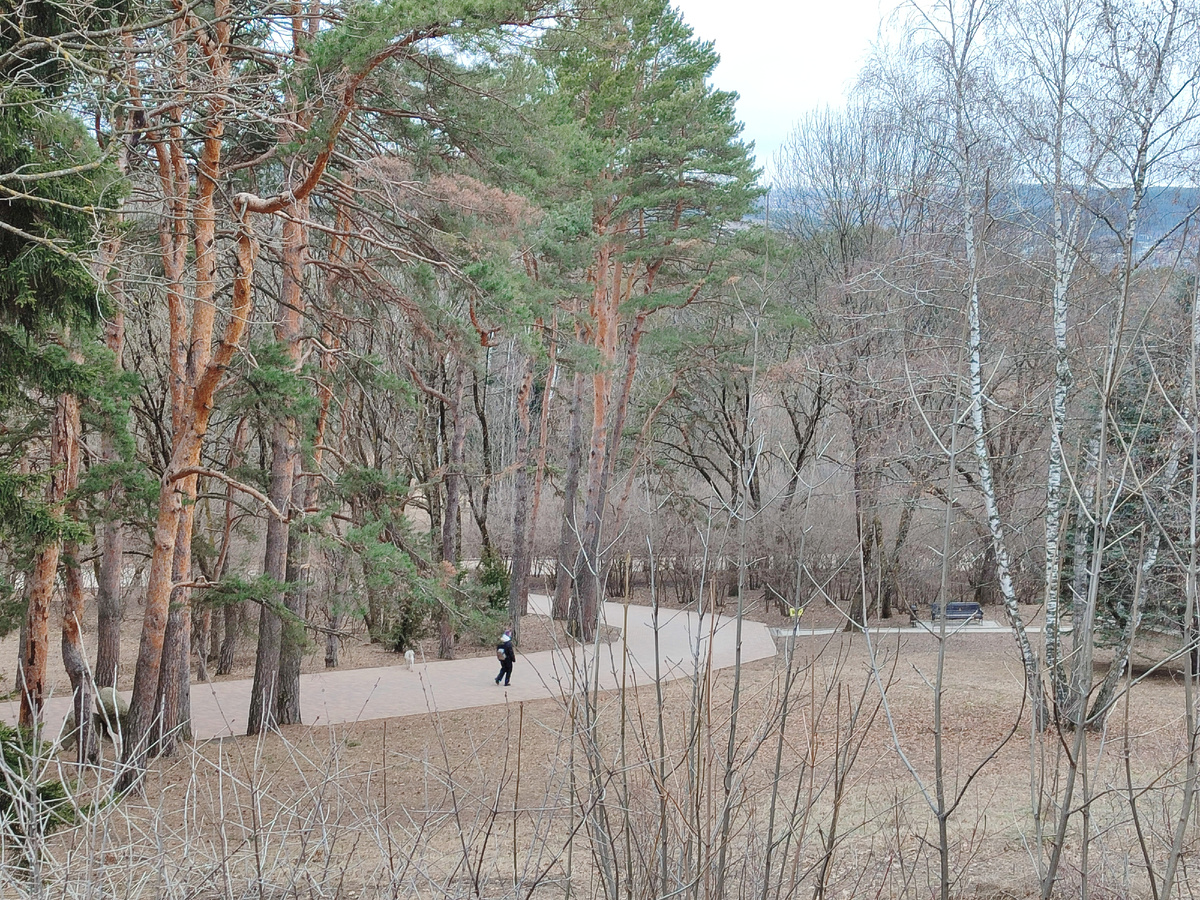 Кисловодский парк зимой