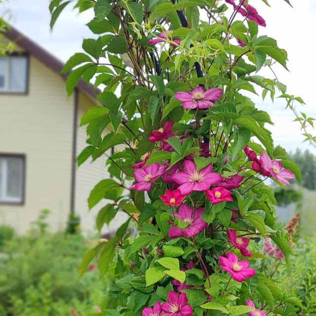 Фото из личного архива