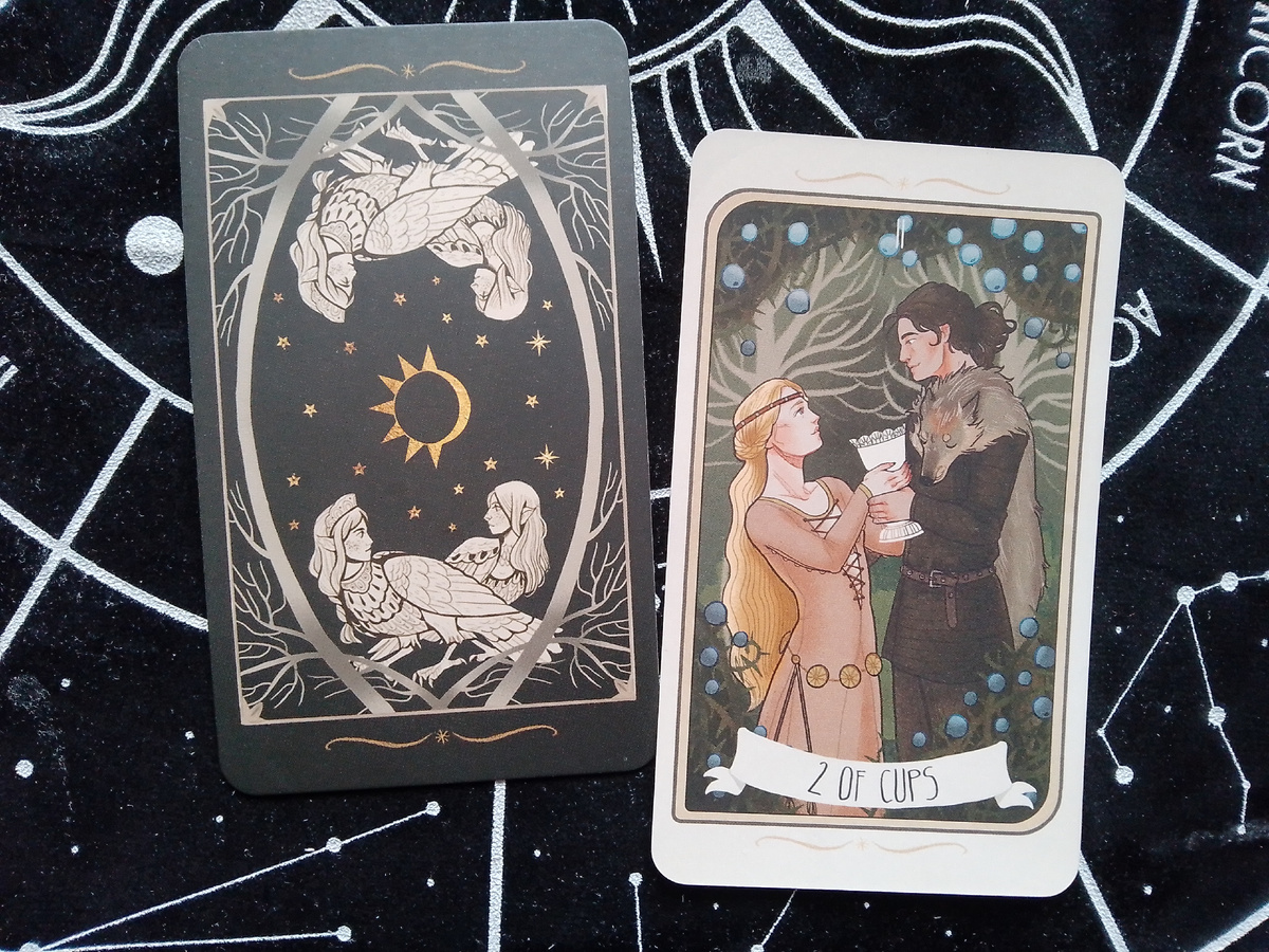 Рубашка колоды и 2 кубков