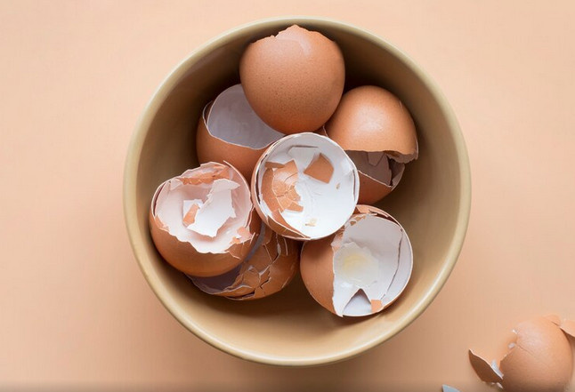 Фото с сайта https://ru.freepik.com