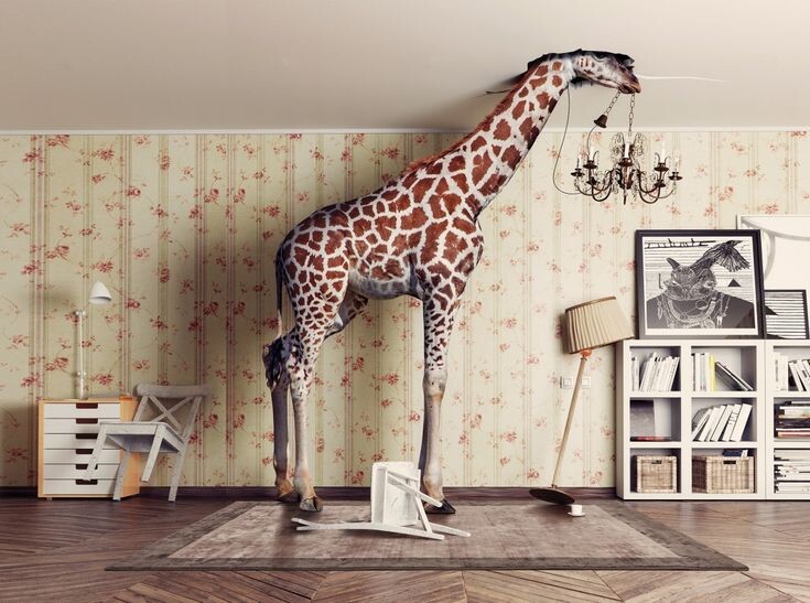 Источник: яндекс.картинки