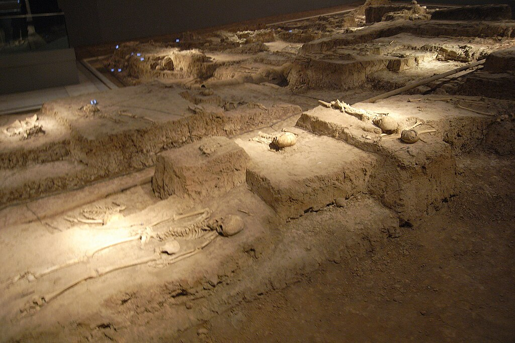 Скелеты жертв Нанкинской резни (от 40.000 до 200.000 жертв по различным оценкам)