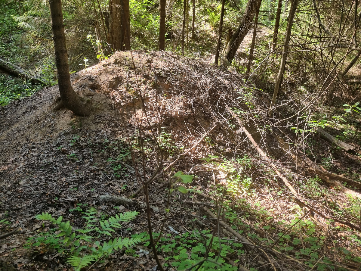 Кутузовское селище. Остатки земляных жилищ  и курганов древних людей, живших в районе д.Кутузово.