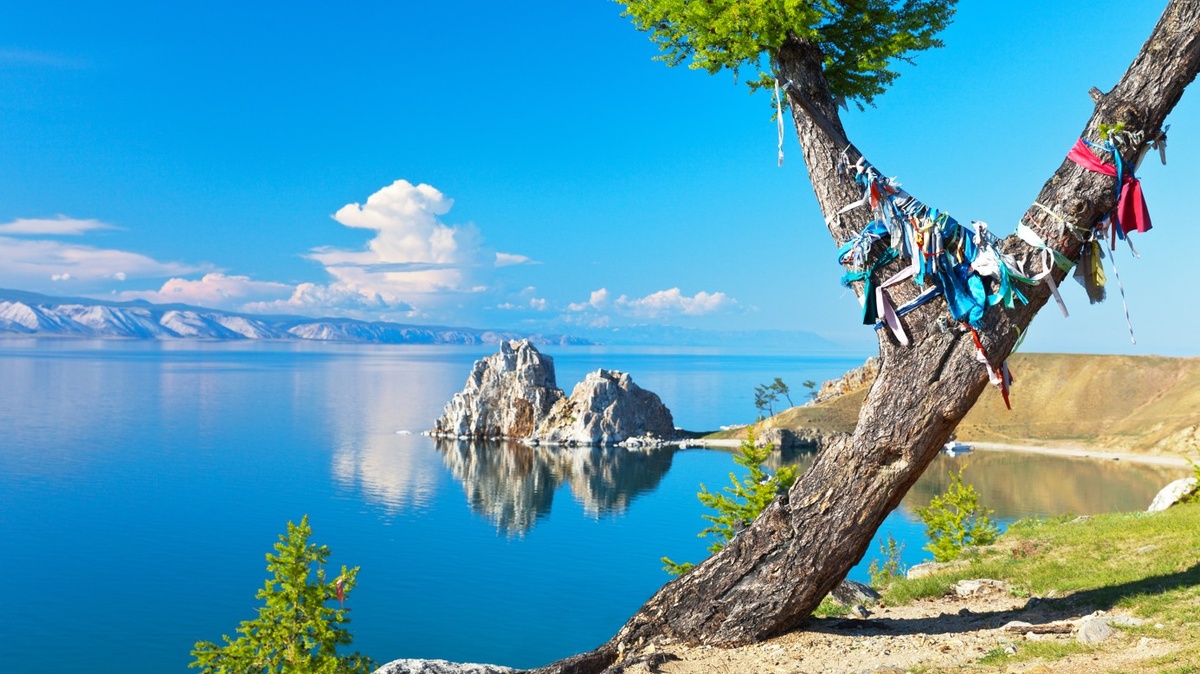 Фото: istockphoto