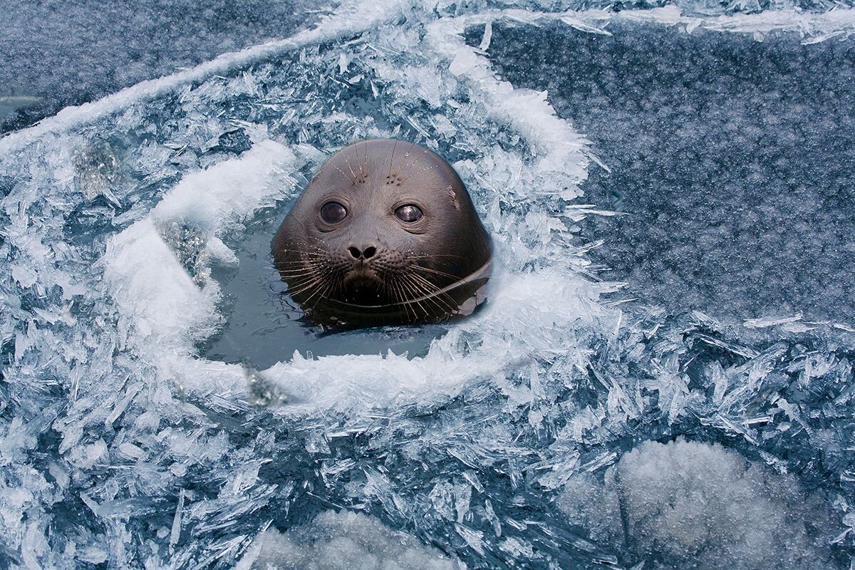 Фото: istockphoto