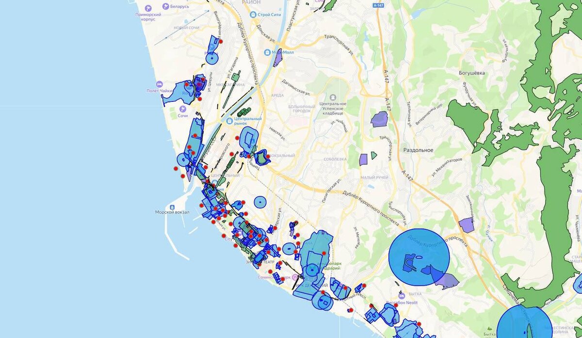    Фото: тг-канал мэра Сочи Андрея Прошунина
