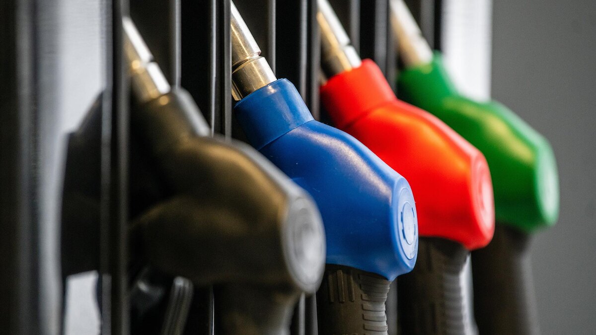    Фото: Ilya Moskovets/globallookpress.com