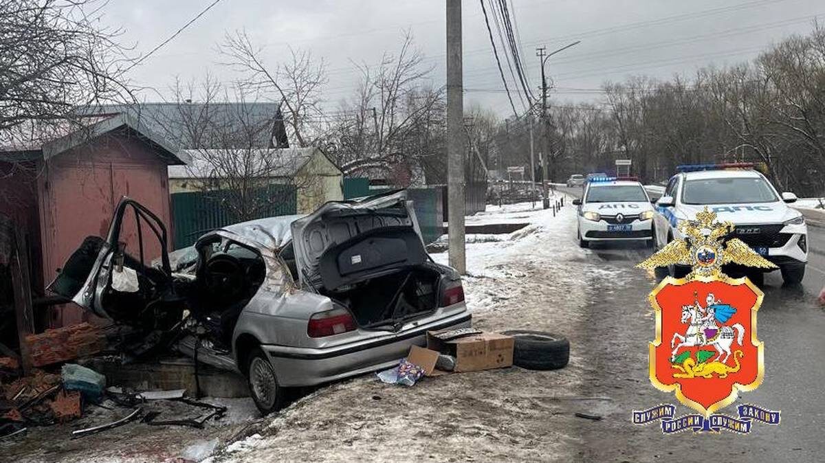    Фото: Пресс-служба ГУ МВД России по Московской области / Telegram