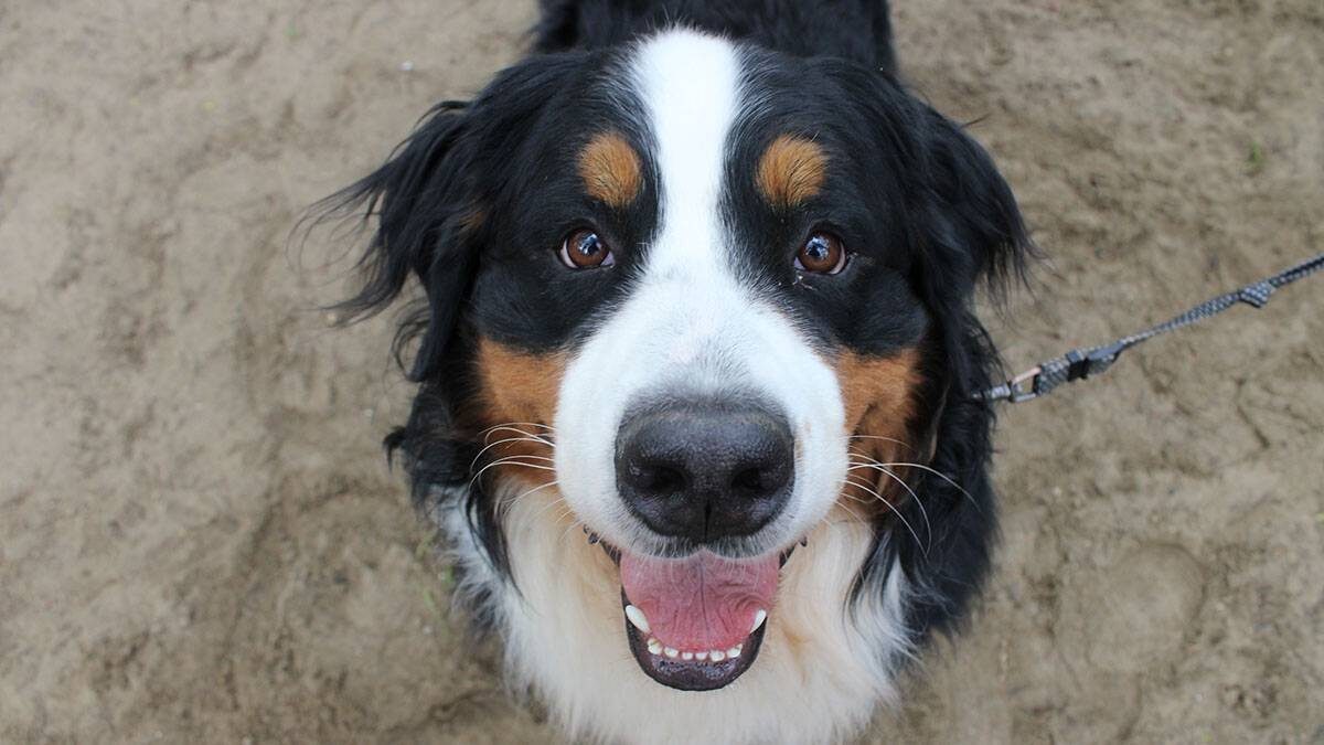    Фото: Мария Хапцова / Вечерняя Москва