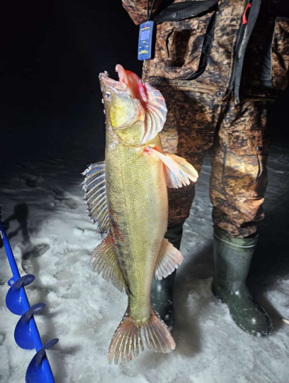 В пятницу в сумерках пойман