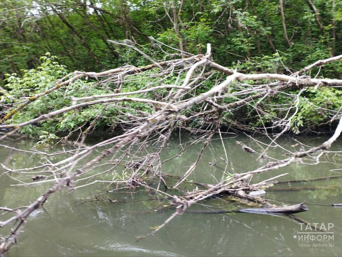 Фото: © Наталья Рыбакова / «Татар-информ»