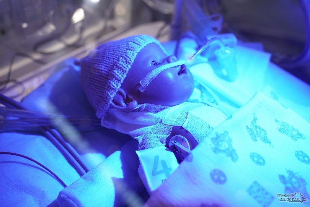    Фото: Лидия Аникина © ИА «Уральский меридиан»