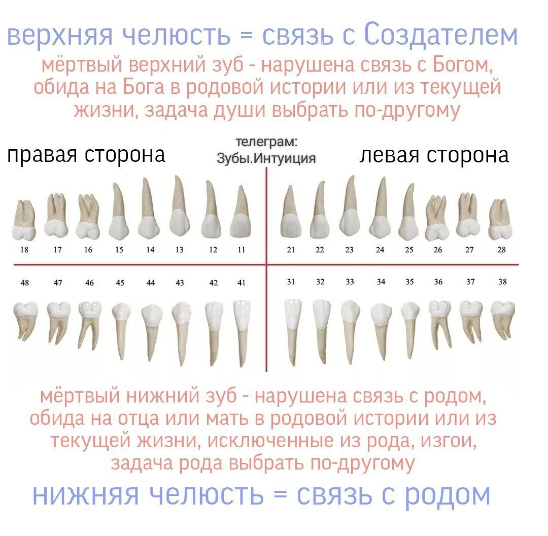 Психосоматика зубов