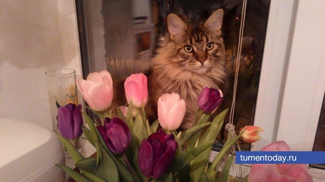  Фото Евгении Ноговициной