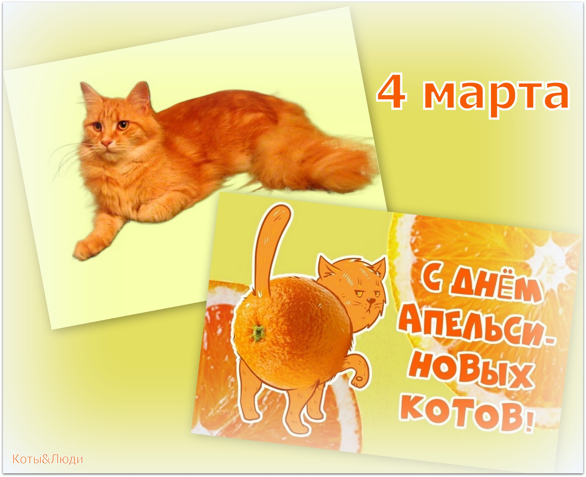 Коллаж автора