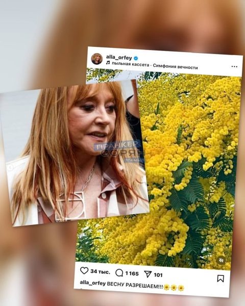    Фото: соцсети