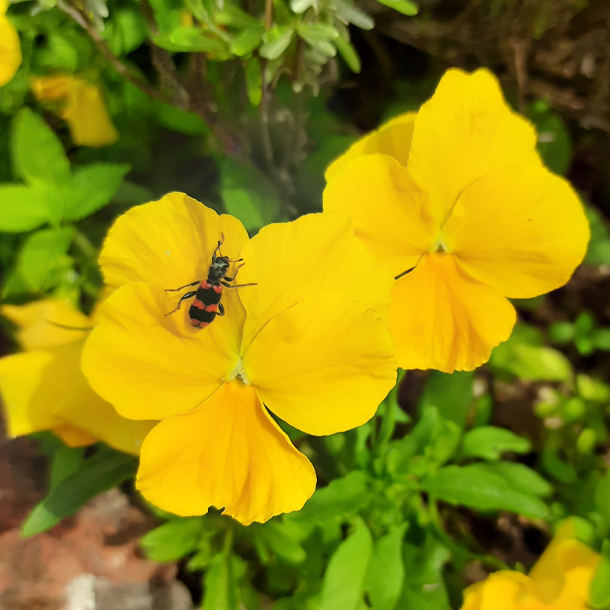 Мы выбираем себе эталон и прилагаем усилия, чтобы соответствовать этому образу