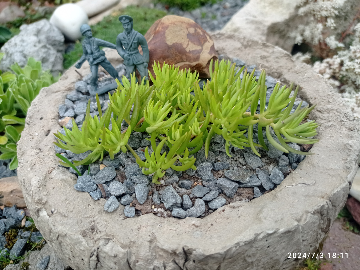 еще одна новинка