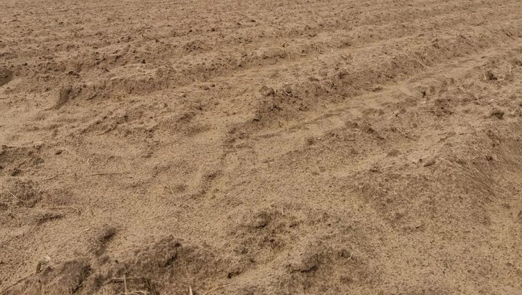    Создана Европейская карта засоленности почв