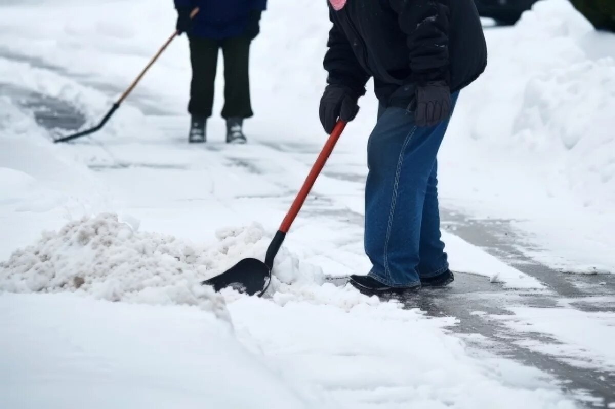   В Ярославле последствия снегопада будут убирать в течение 6 часов