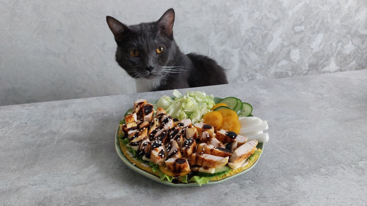 Цезарь тоже очень любит курочку