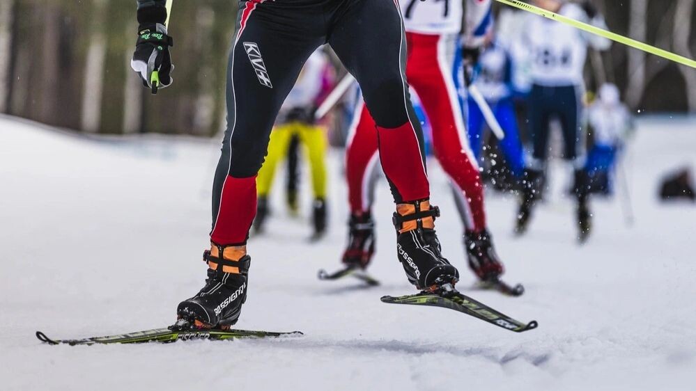    Фото: Real Sports Photos/Shutterstock/Fotodom