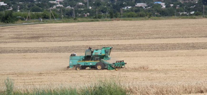    Фото из архива "РВ" Диана Огнева