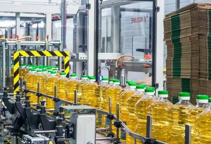 Процесс производства подсолнечного масла (Фото: banker.az)