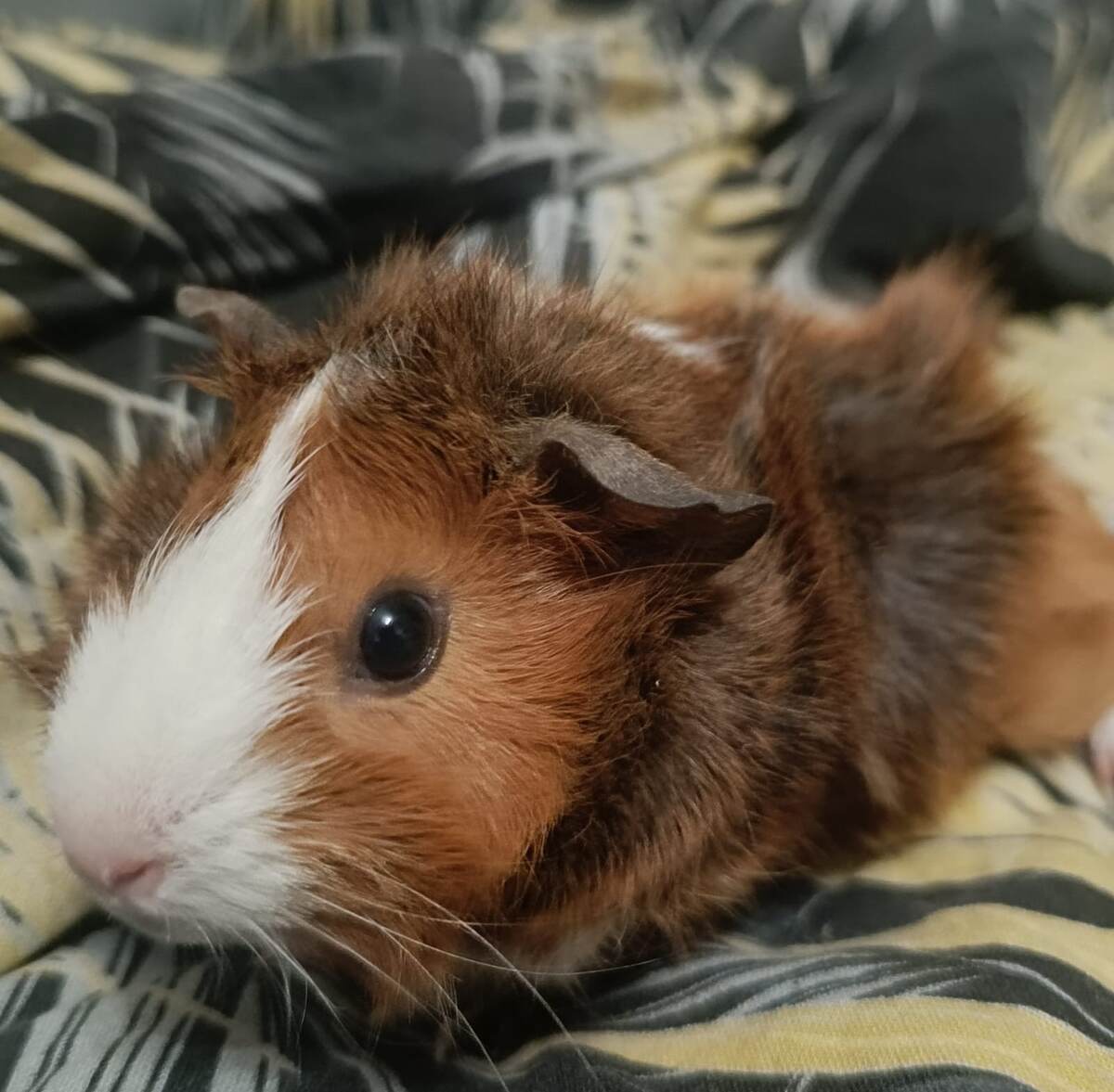 Карамелька