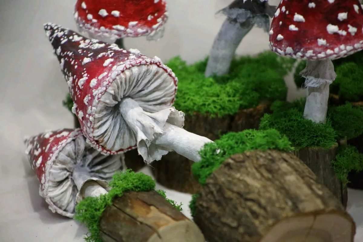 Источник: https://www.livemaster.ru/item/43069578-suveniry-i-podarki-muhomor-interernyj-krasnyj