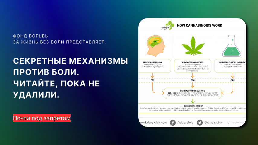 Устраняем боль через упражнения. Как это возможно? 