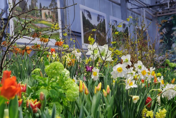 Михаил Голденков