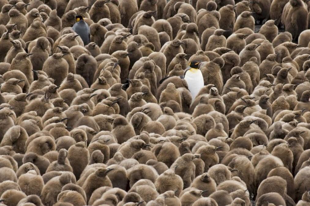 как продать авто на Авито
