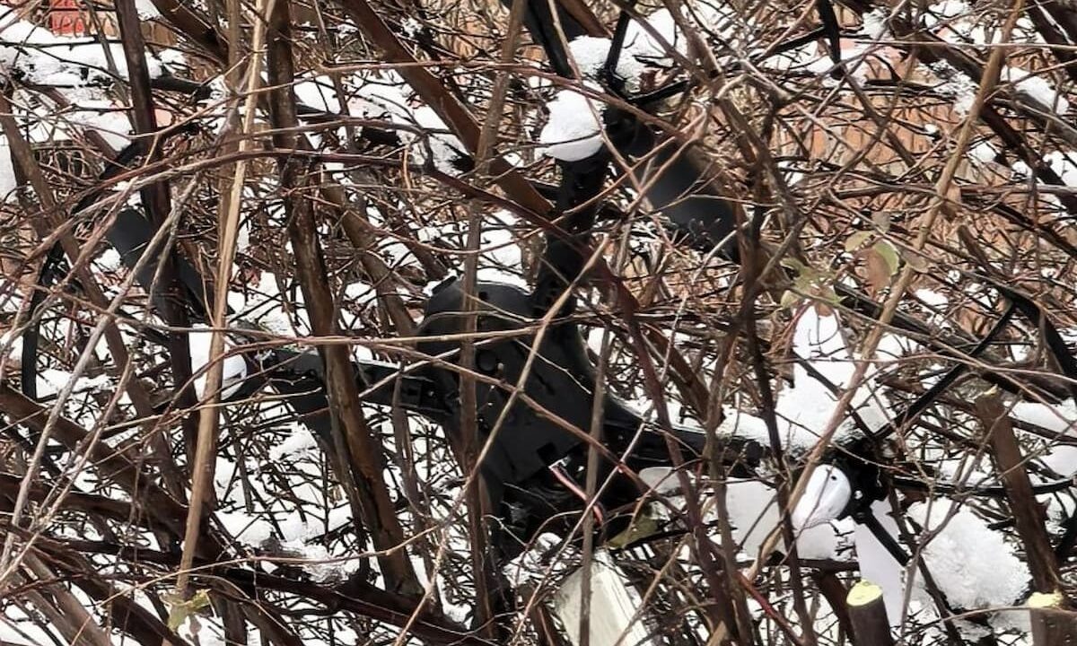    Фото t.me/opershtab23