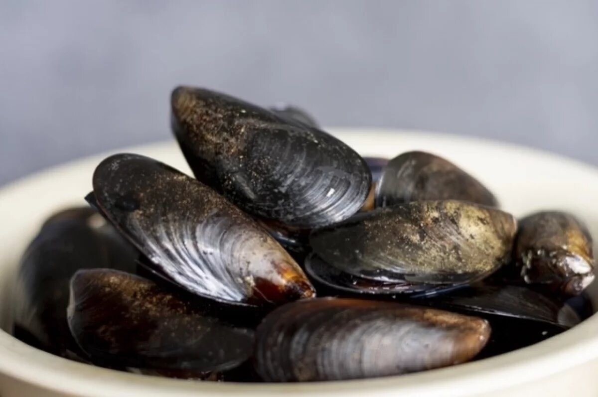    В Севастополе в незаконной добыче более 16 тыс. мидий обвиняют двух мужчин