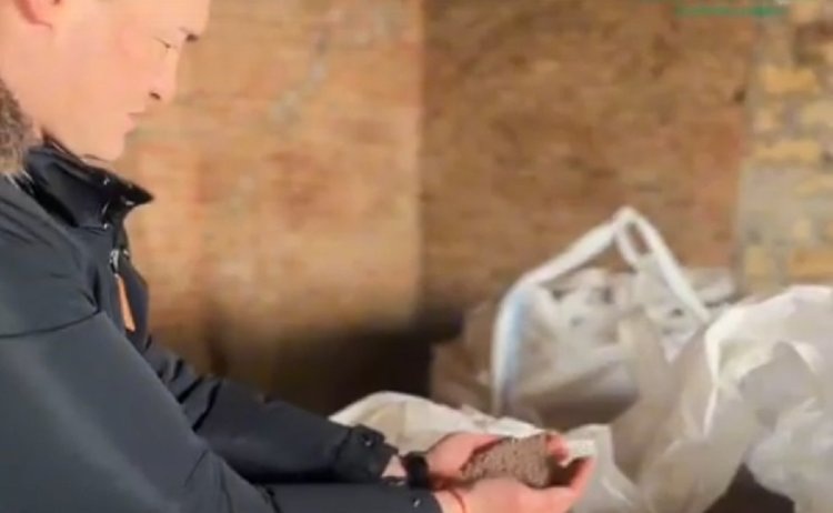    В Калмыкии увеличивают посевные площади и возрождают масложировую отрасль