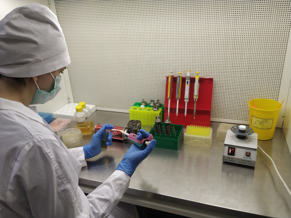 Участник исследования Марина Зайчикова, кандидат биологических наук, научный сотрудник лаборатории молекулярной генетики микроорганизмов, переносит раствор с фагом в центрифужные пробирки для последующего концентрирования. Источник: Майя Малахова