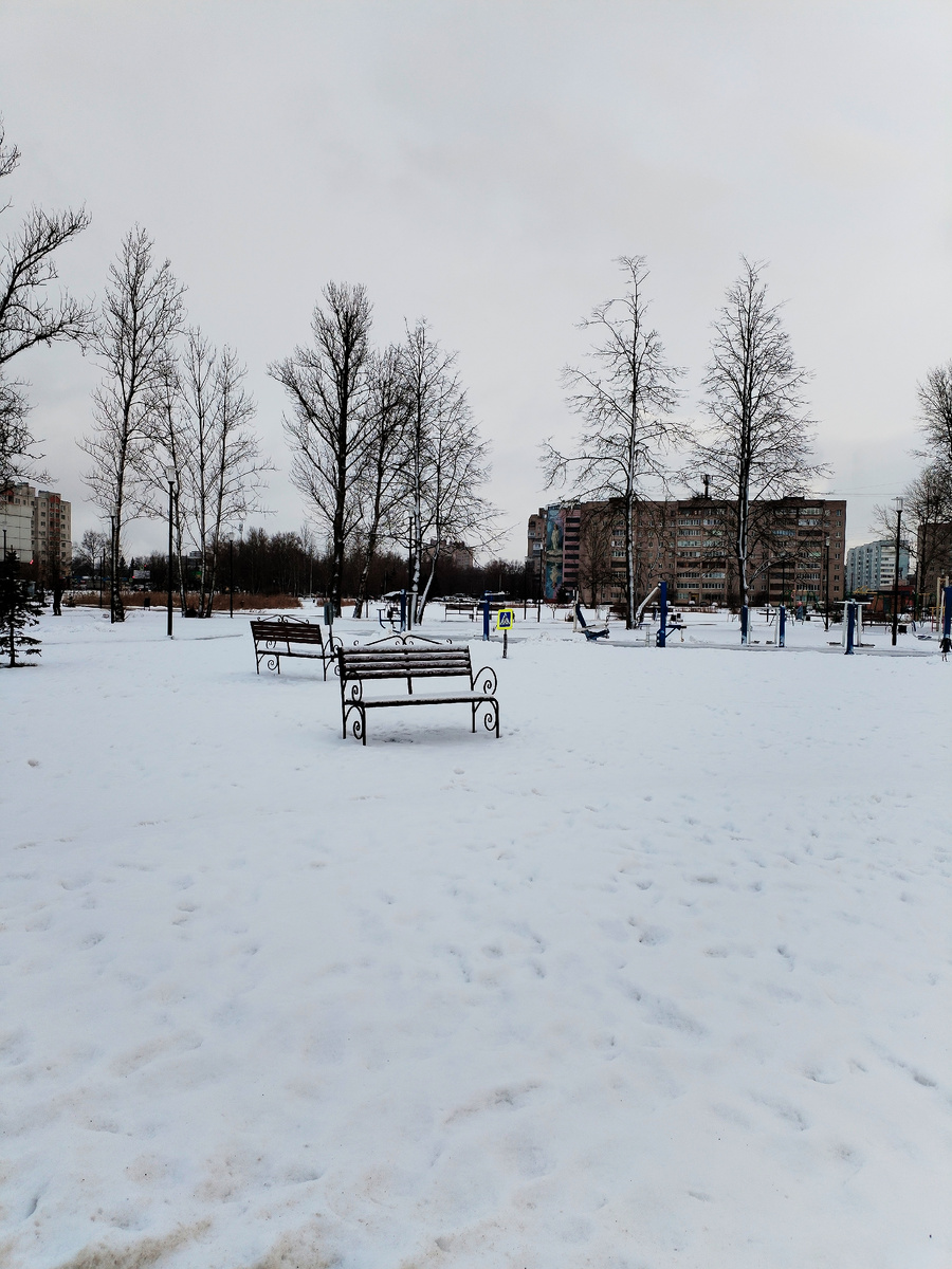 Хмурое утро. 