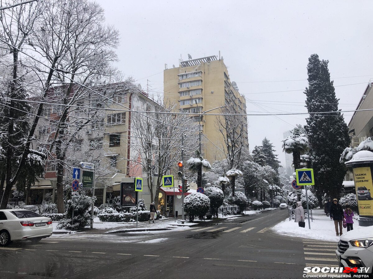    Фото: Сочи24 (Лидия Виленская)