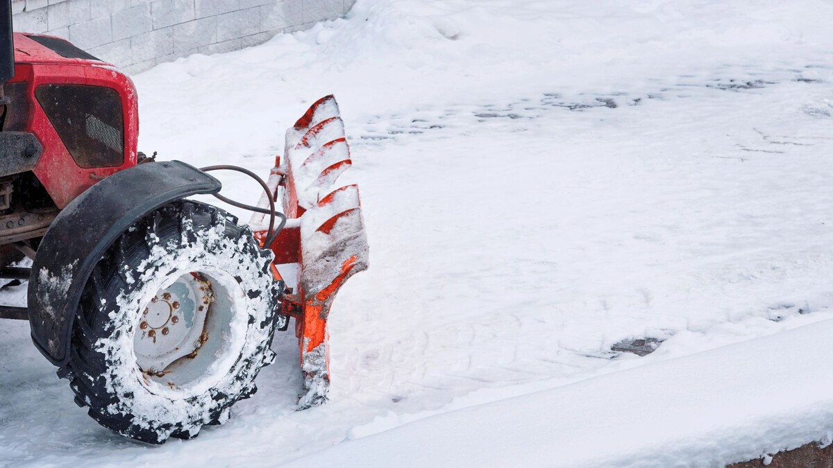    Фото: Tricky_Shark/Shutterstock/Fotodom