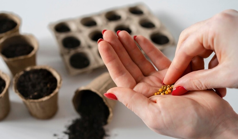 Фото: Яндекс Картинки