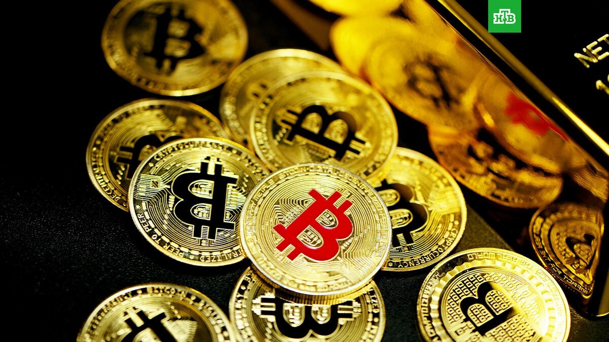    Фото: Kanchanara / unsplash.com